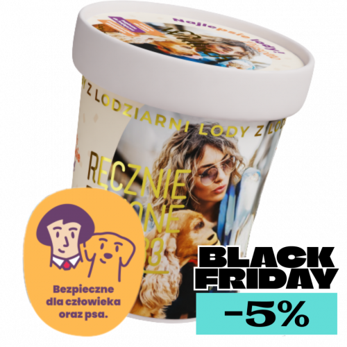 Lody o smaku Jabłko & Marchew