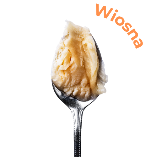 Lody o smaku Polskie jabłko