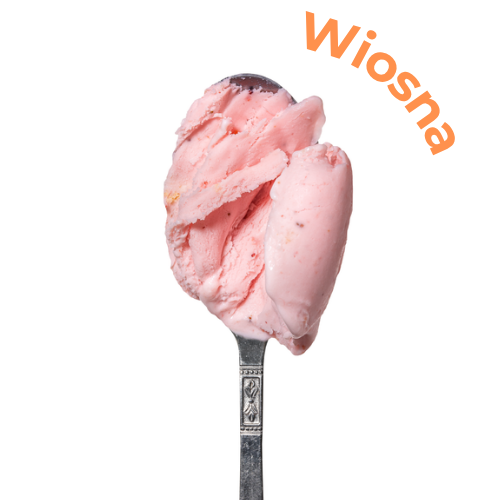 Lody mleczne o smaku Czerwona porzeczka na śmietance