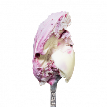 Lody o smaku prosecco z czarną porzeczką