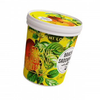 Lody o smaku szarlotki (sorbet)