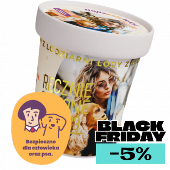 Lody o smaku Jabłko & Marchew