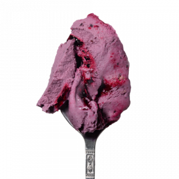 Lody o smaku Ciasto jagodowe