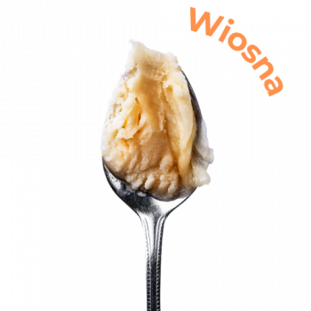 Lody o smaku Polskie jabłko