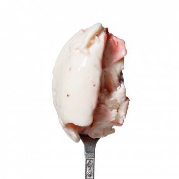 Lody o smaku New York Cheesecake