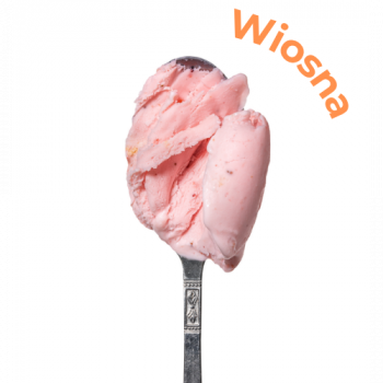 Lody mleczne o smaku Czerwona porzeczka na śmietance